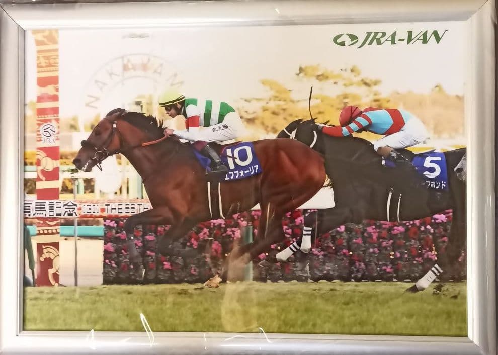 JRA VAN限定 エフフォーリア レーシングパネル