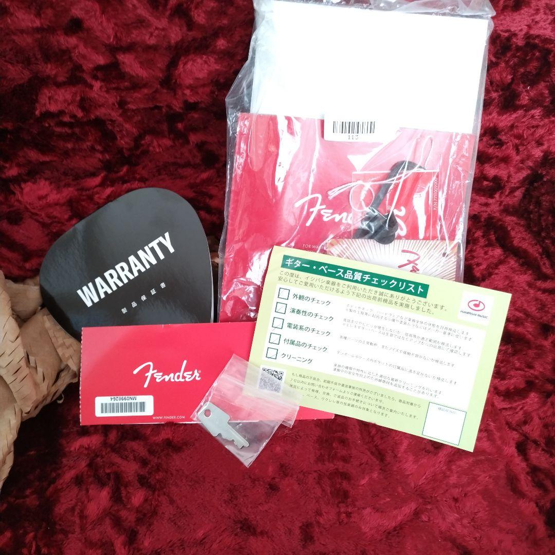 Fender　ジム・ルート　ジャズマスター