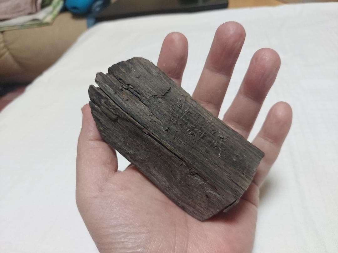 阿武隈川産 埋もれ木（割１）　新古今和歌集に詠まれた本物の伝承品