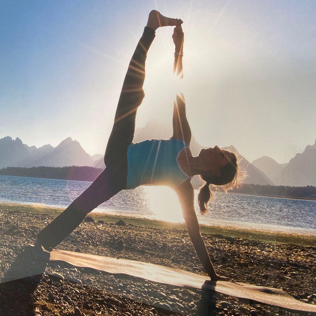 patagonia パタゴニア ポスター 額装品 特大 96cm×66cm