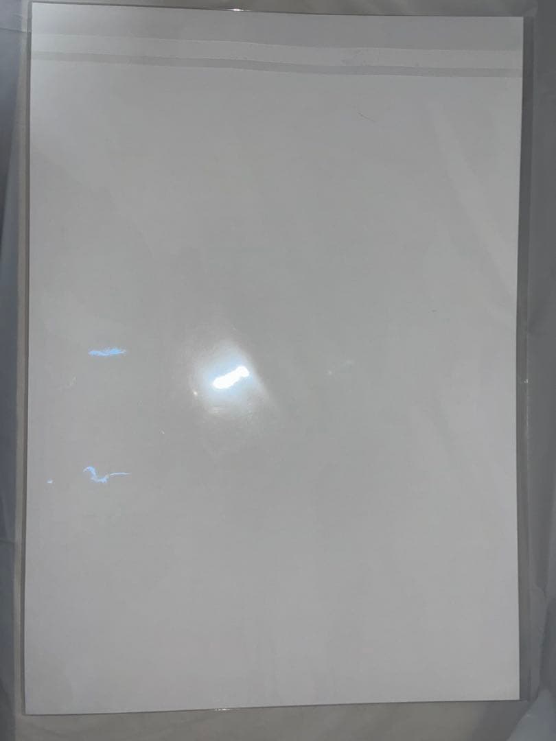 【最終値下げ】チェンソーマン レゼ篇 A3 ポスター 5点 まとめ売り