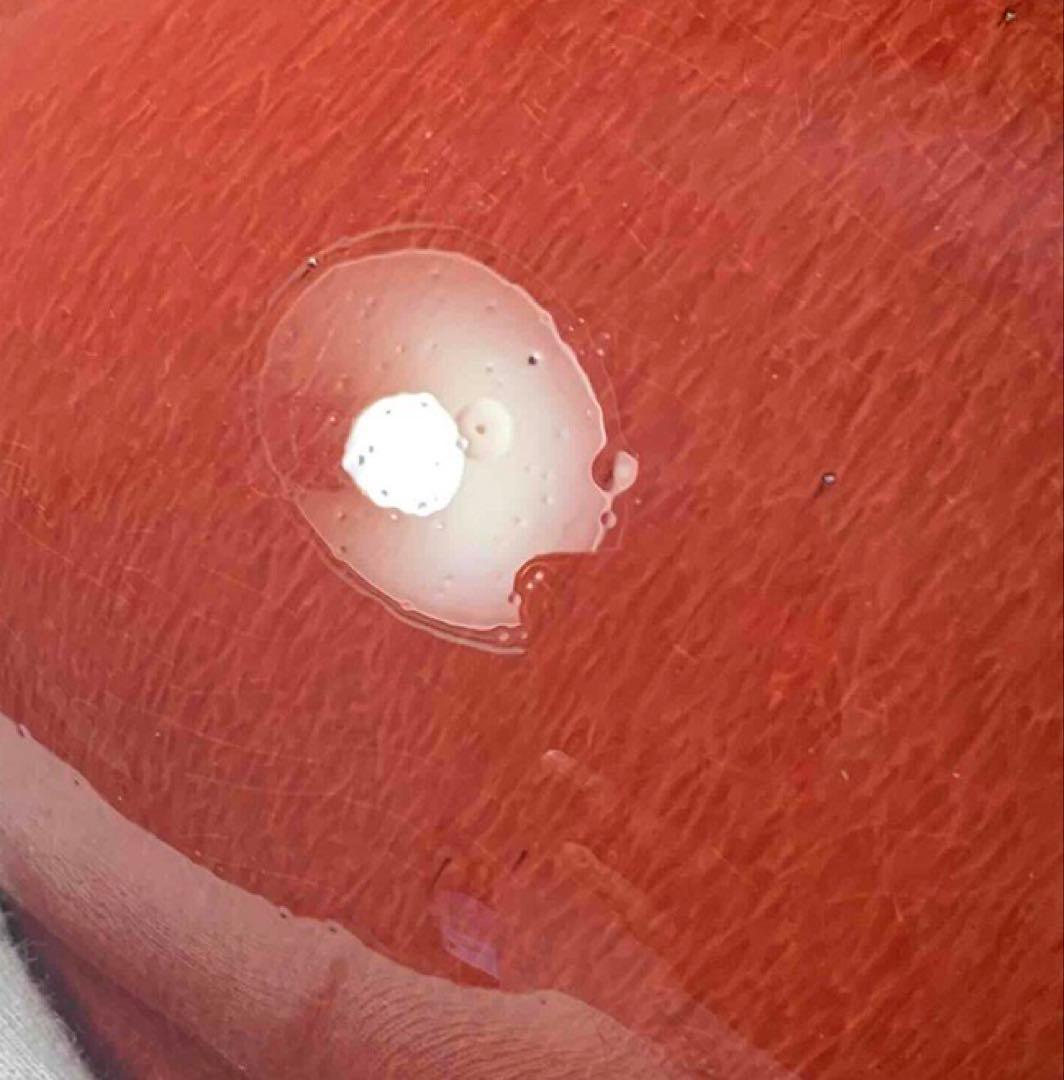 中国 紅釉羊耳付壺　f2250914