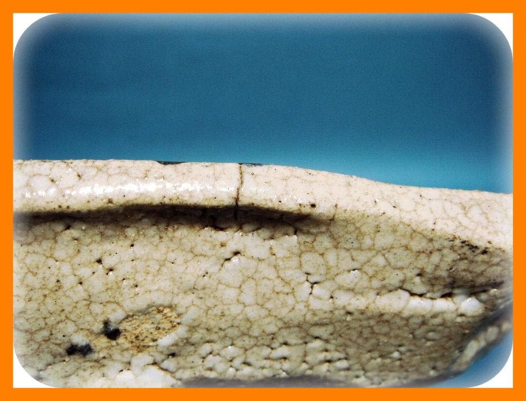 798『志野 草鳥 額皿』　/骨董品 古美術 古道具 アンティーク