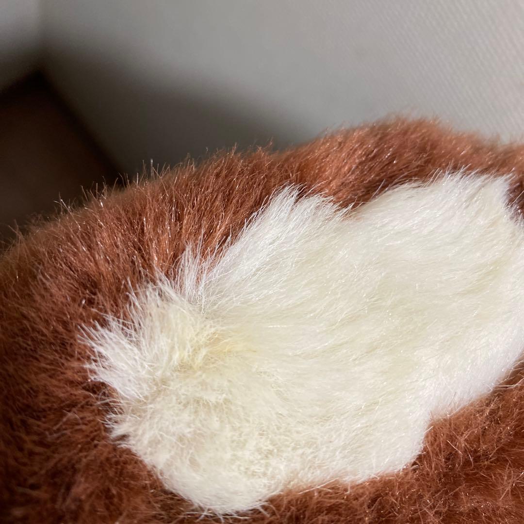 ジュンプランニング⭐︎ギズモプラッシュドール⭐︎毛玉付き