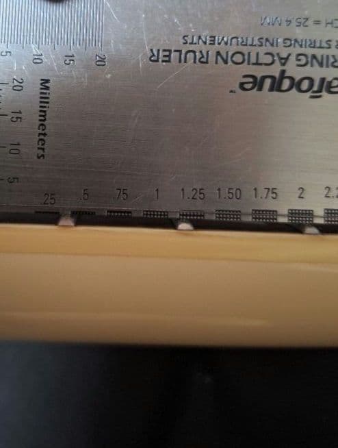 Bacchus Universe BSG-480 WHITE セットネック