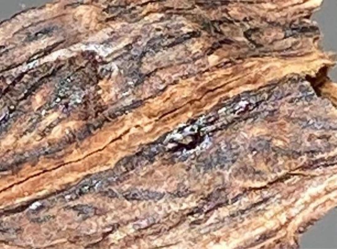 沈香　香木　上品　タニ　3.59グラム