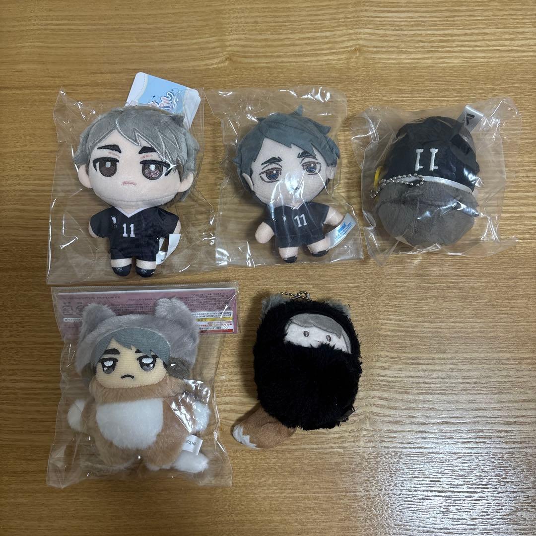 ハイキュー‼︎ 宮治