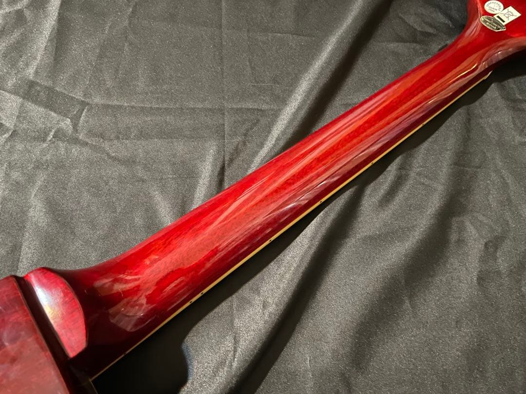 Epiphone Les Paul Standard Pro ★ ケース付属