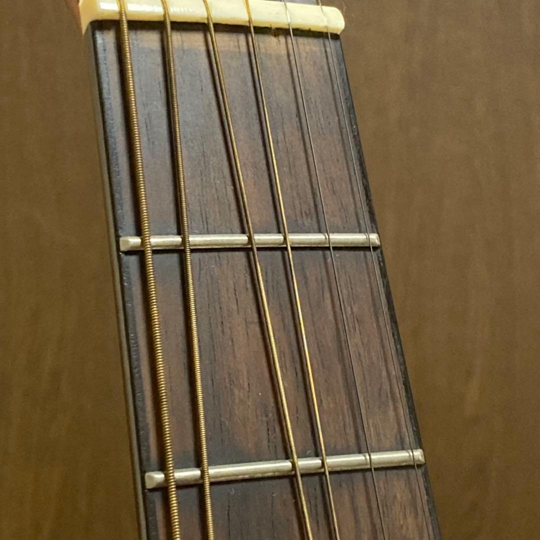 Aria FET-F2 STBR エレアコ