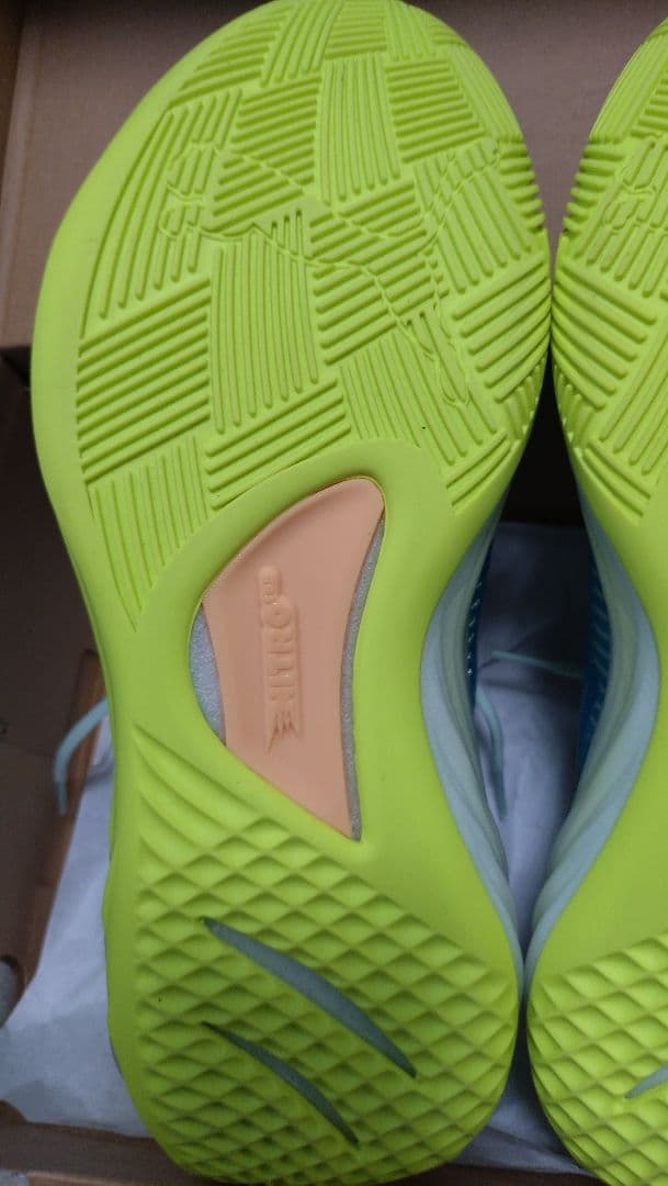 シューズ(男性用) PUMA ALL-PRO NITRO