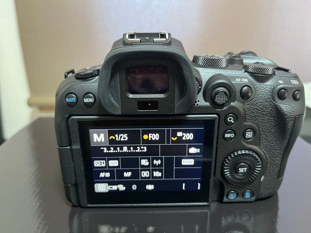 Arfa-21 Canon EOS R6 ミラーレス一眼カメラ 『美品』