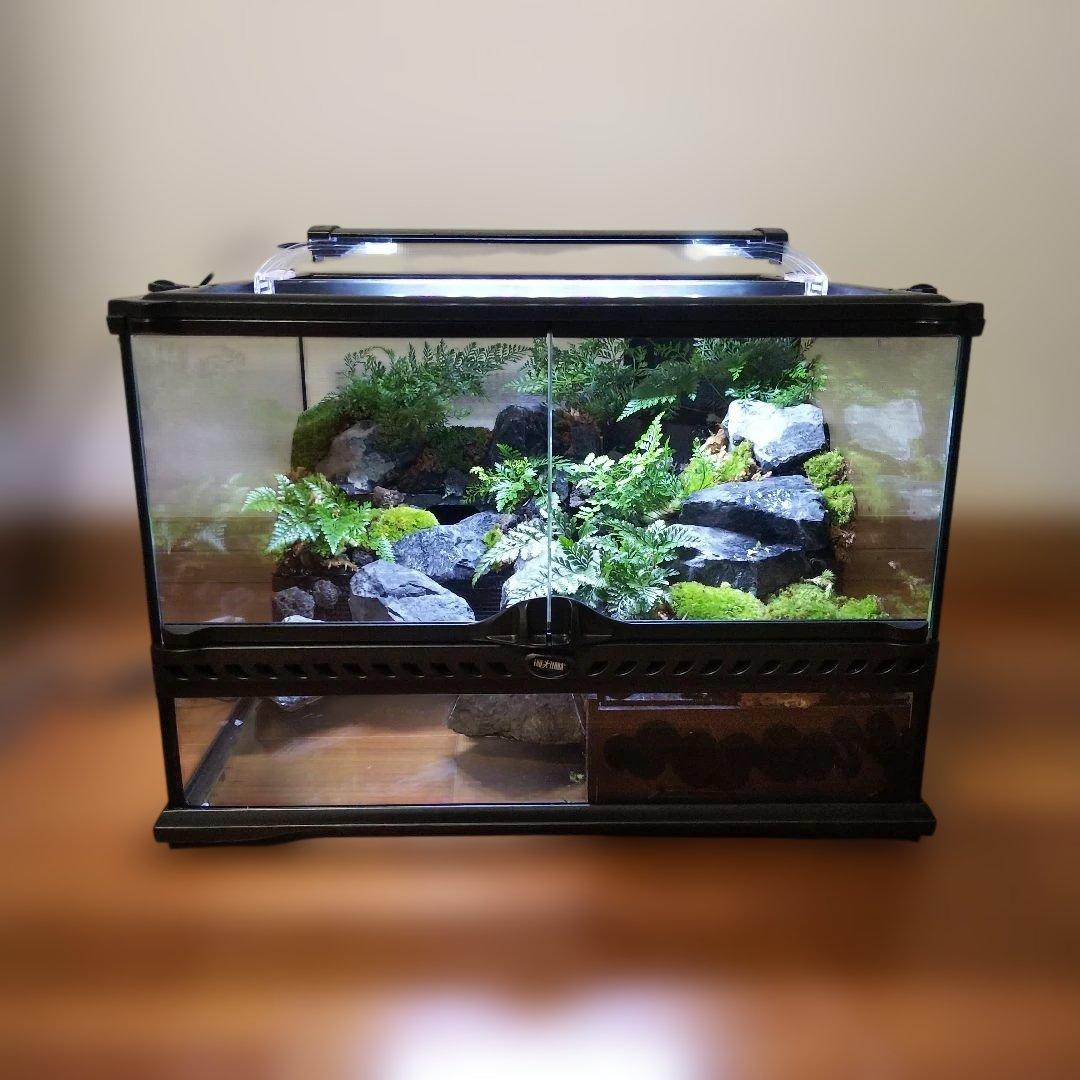 【受注生産】滝のあるアクアテラリウム　グラステラリウム 4530イモリウム