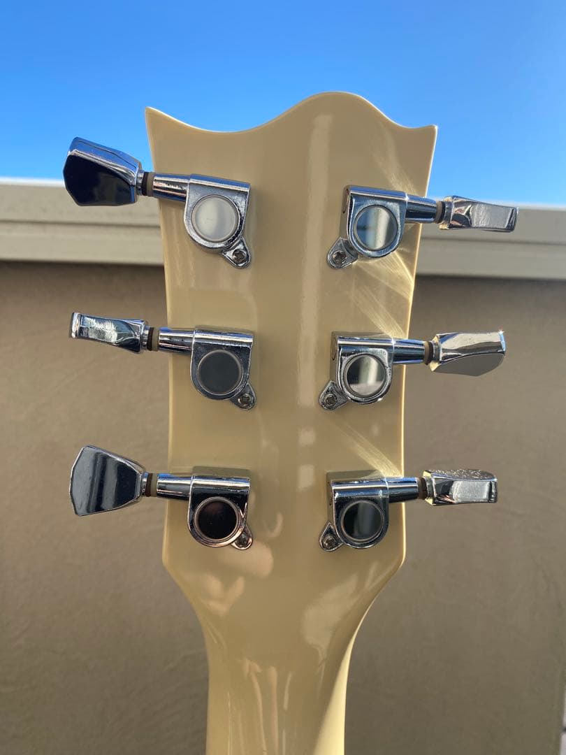 レスポールタイプ(エレキギター)