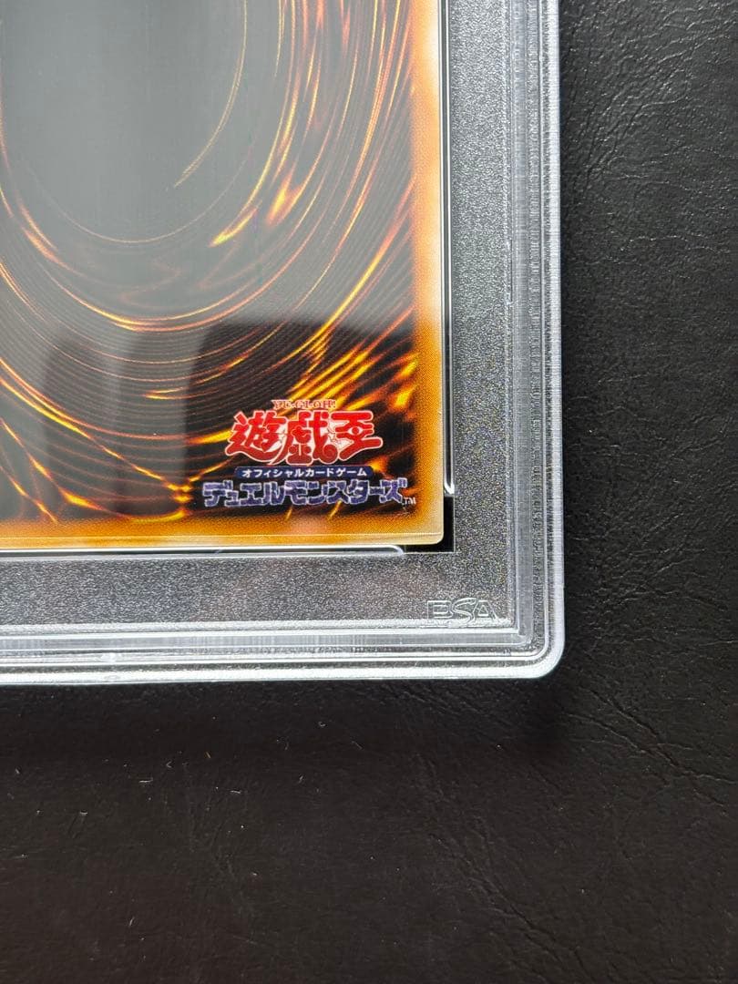 【PSA10】ゲートガーディアン 初期ウルトラ