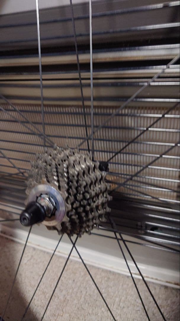 Campagnolo Bora One 50 リアのみ　スプロケ＋新品タイヤ付