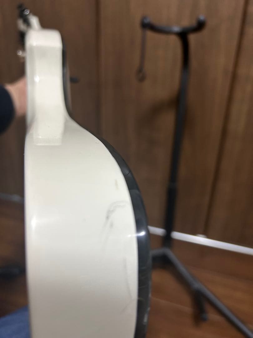 B.C. Rich モッキンバードSpecial