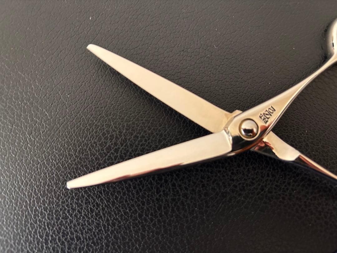 【セール】【Z2】「極レア」新品 ハイネッタ シザー レミートップ 206