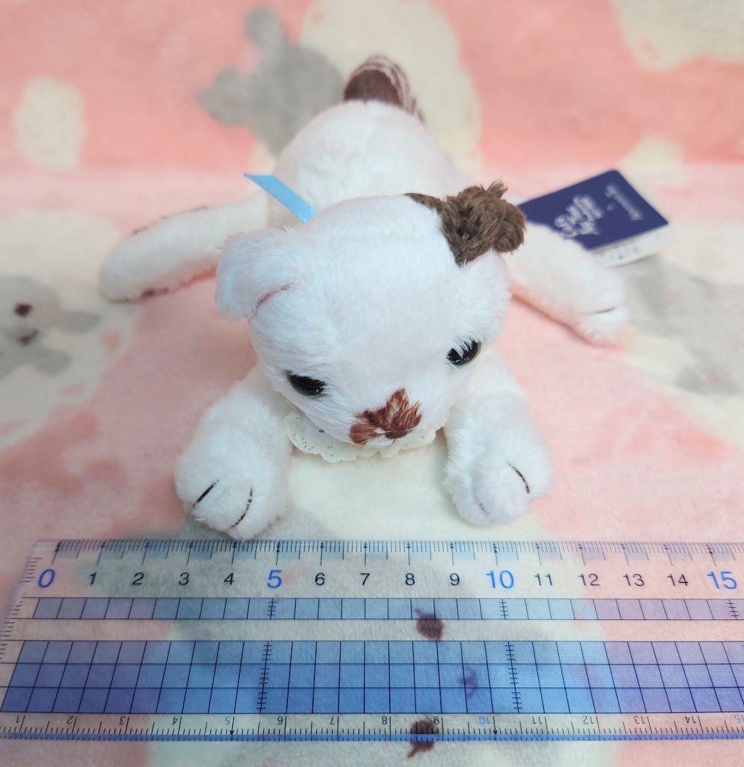 cat's issue 猫　ぬいぐるみ　AfternoonTea