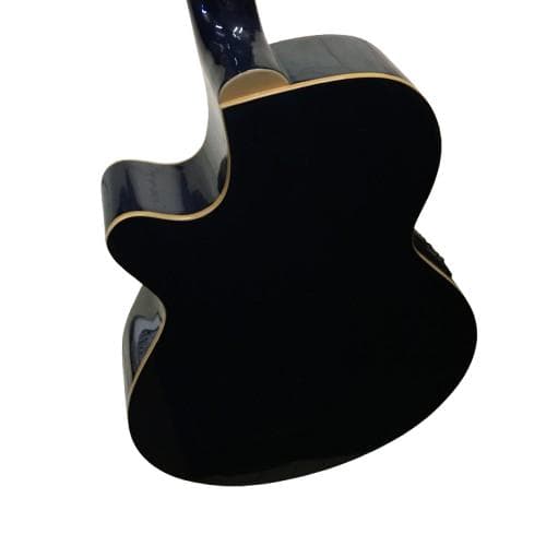 Y USED エレアコ Pro Martin custom ギター ブルー