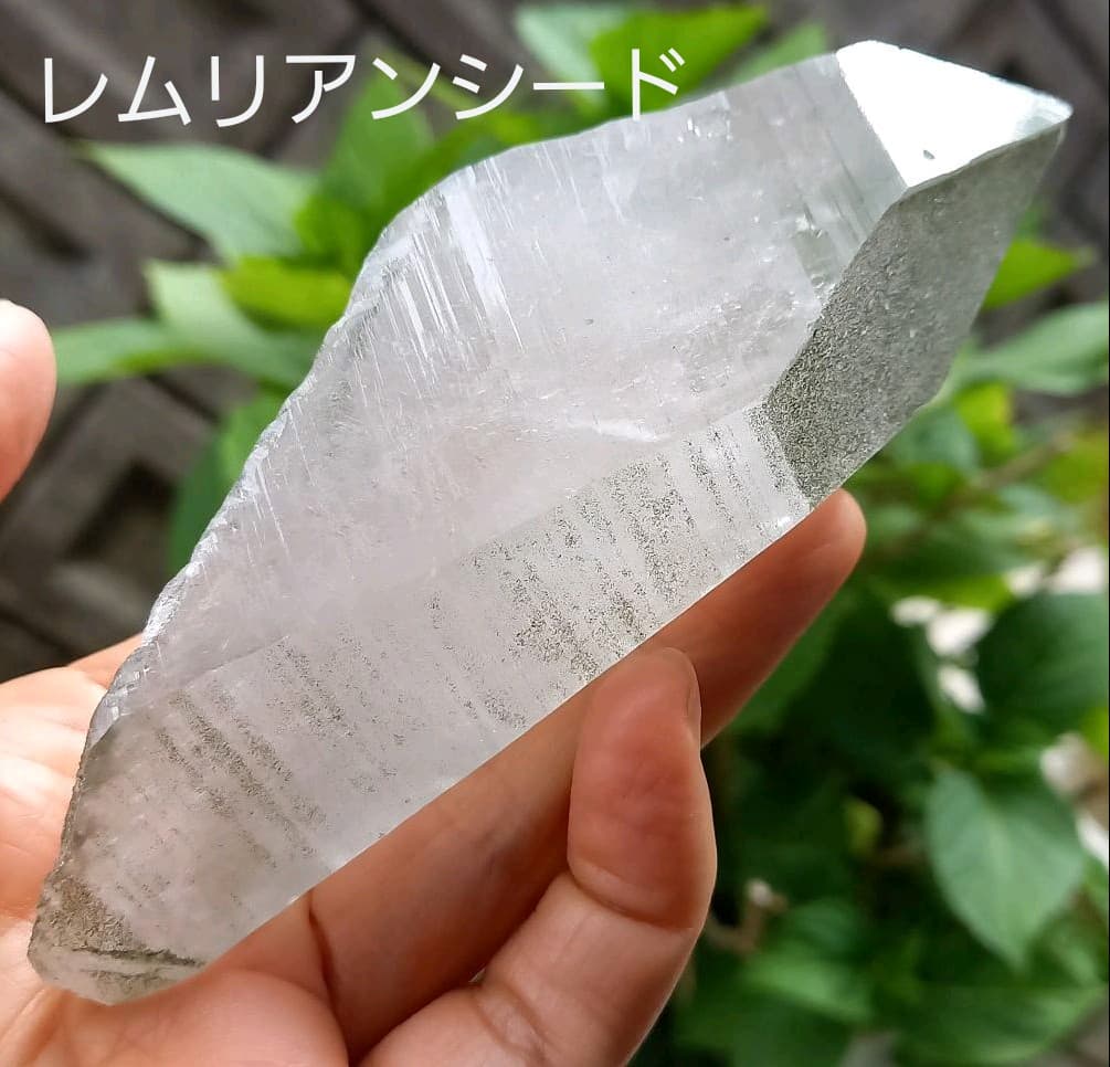 希少石！レムリアンシード✨レムリアン水晶★水晶原石★レコードキーパー C