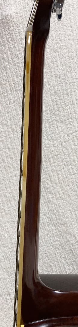 Morris モーリス W-20 アコースティックギター