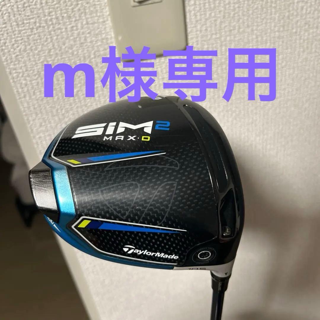 SIM2 MAX-D 10.5 シルバー50 S