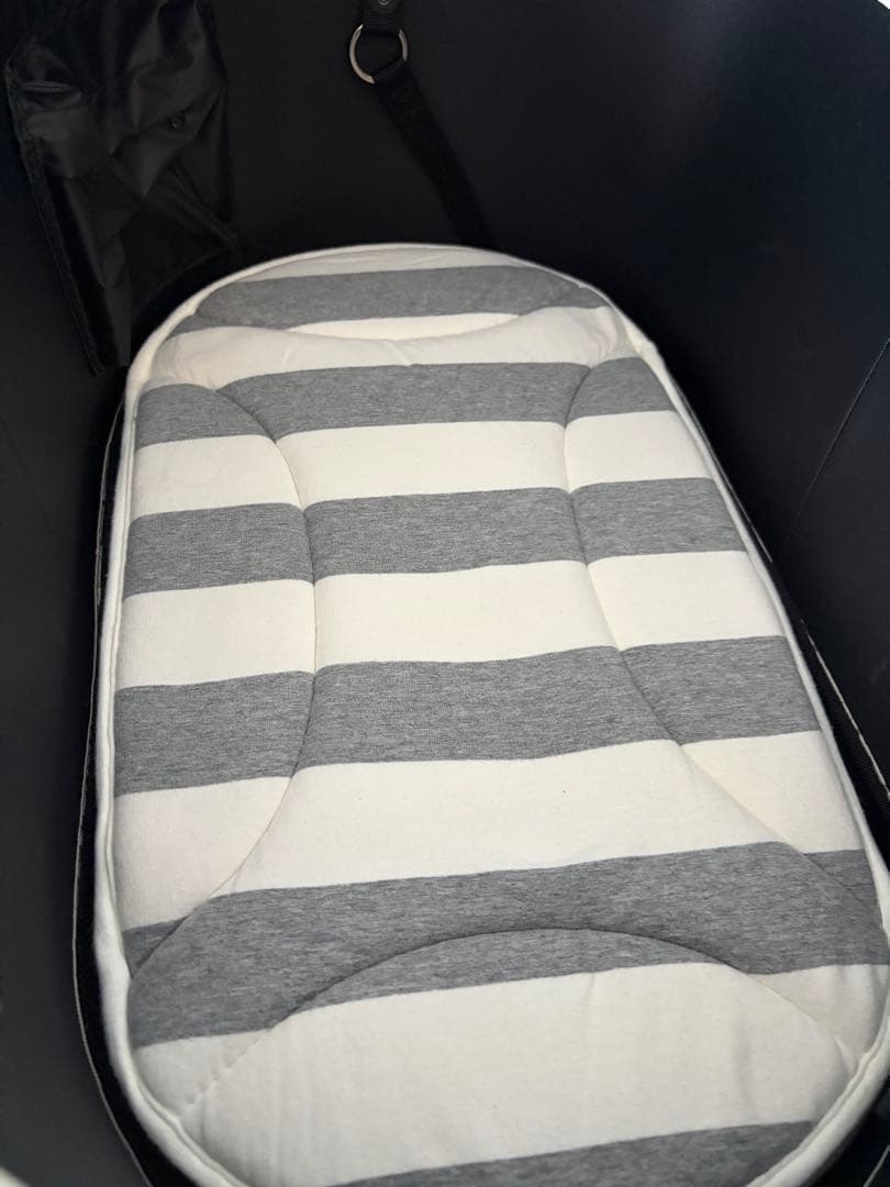 限定版カスタムAirBuggy for Dog DOME3 Regular