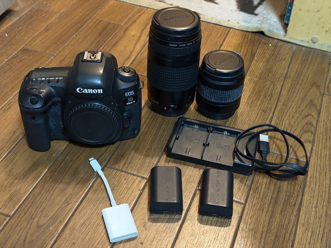 Canon EOS 5D Mark IV モニターに不備あり