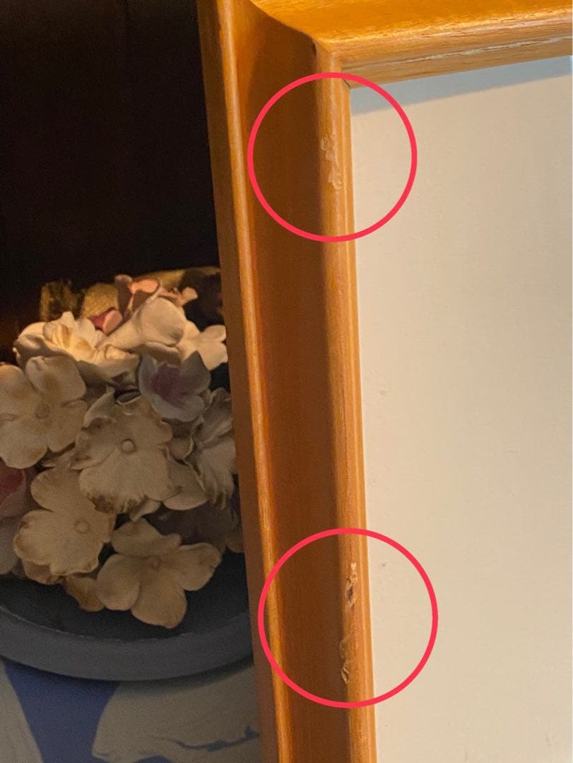 野菜果物＊ジャン•ジャンセン ひまわり 額縁 大判 リトポスター ムロール