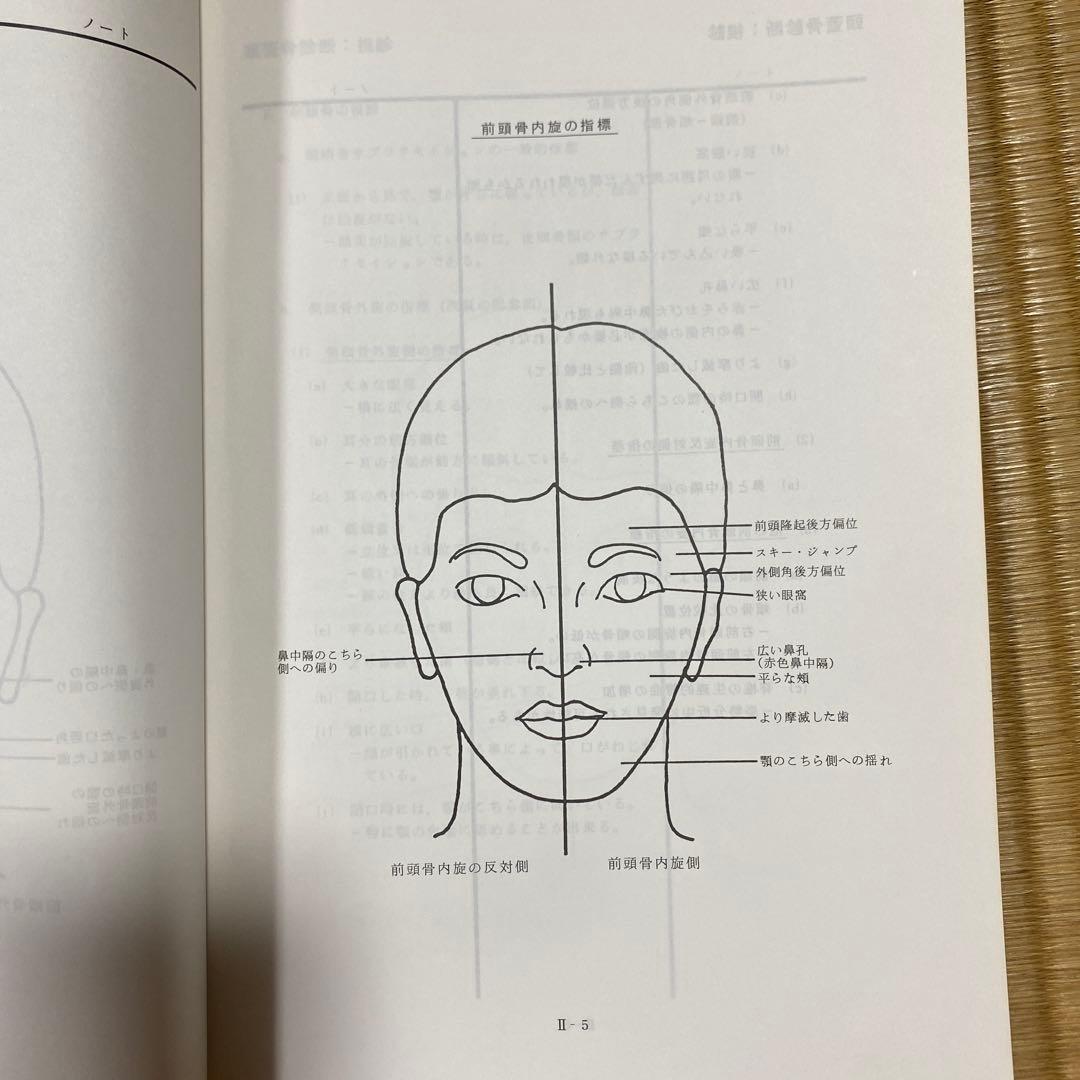 S O T クラニアルスタディガイド クラニアル参加者ガイド　まとめて2冊