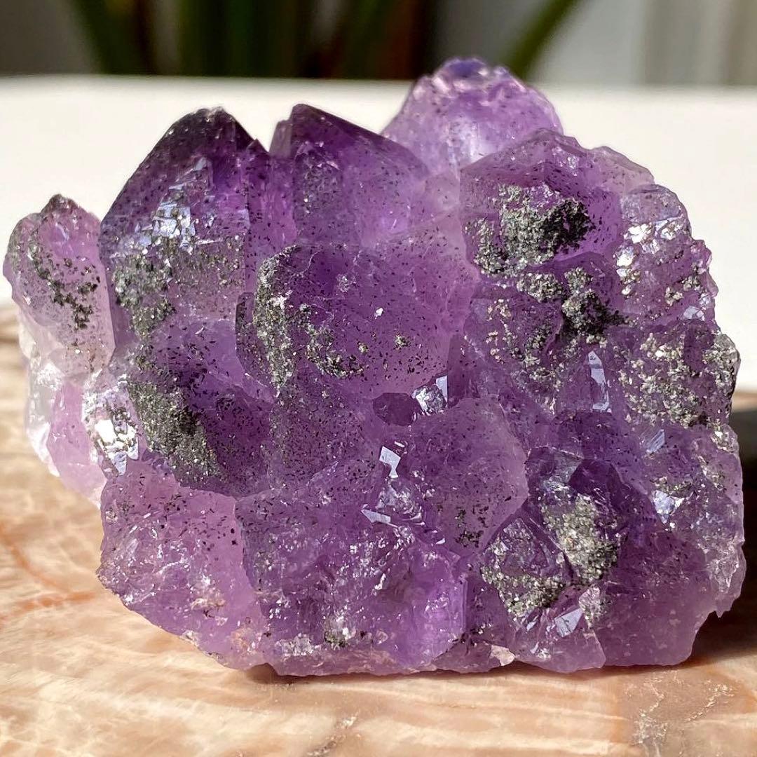 ヤシの実様　お受け取りまでのご確認用ページ