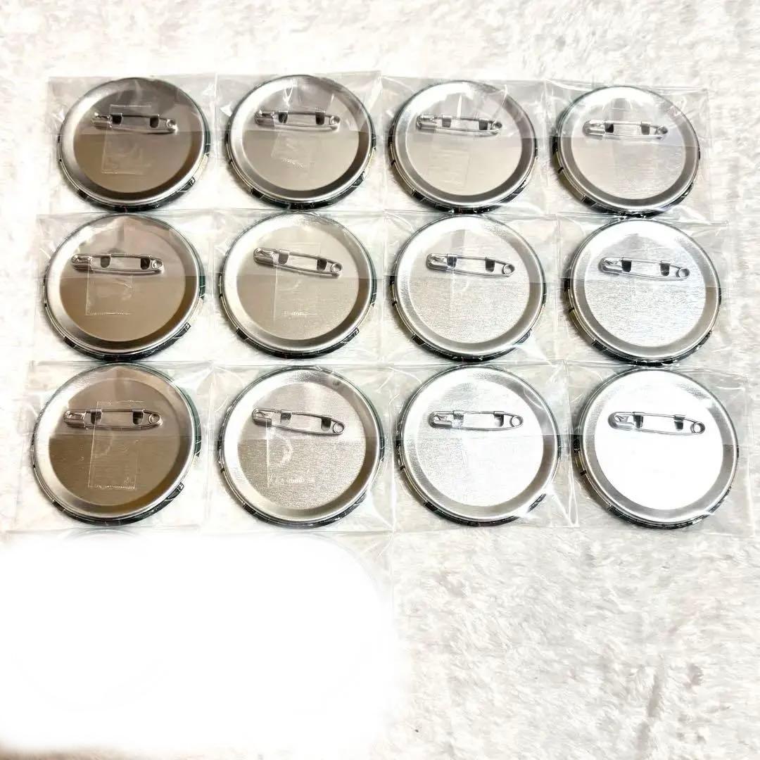 【値下げ中】 シクフォニ 缶バッジ 26正月