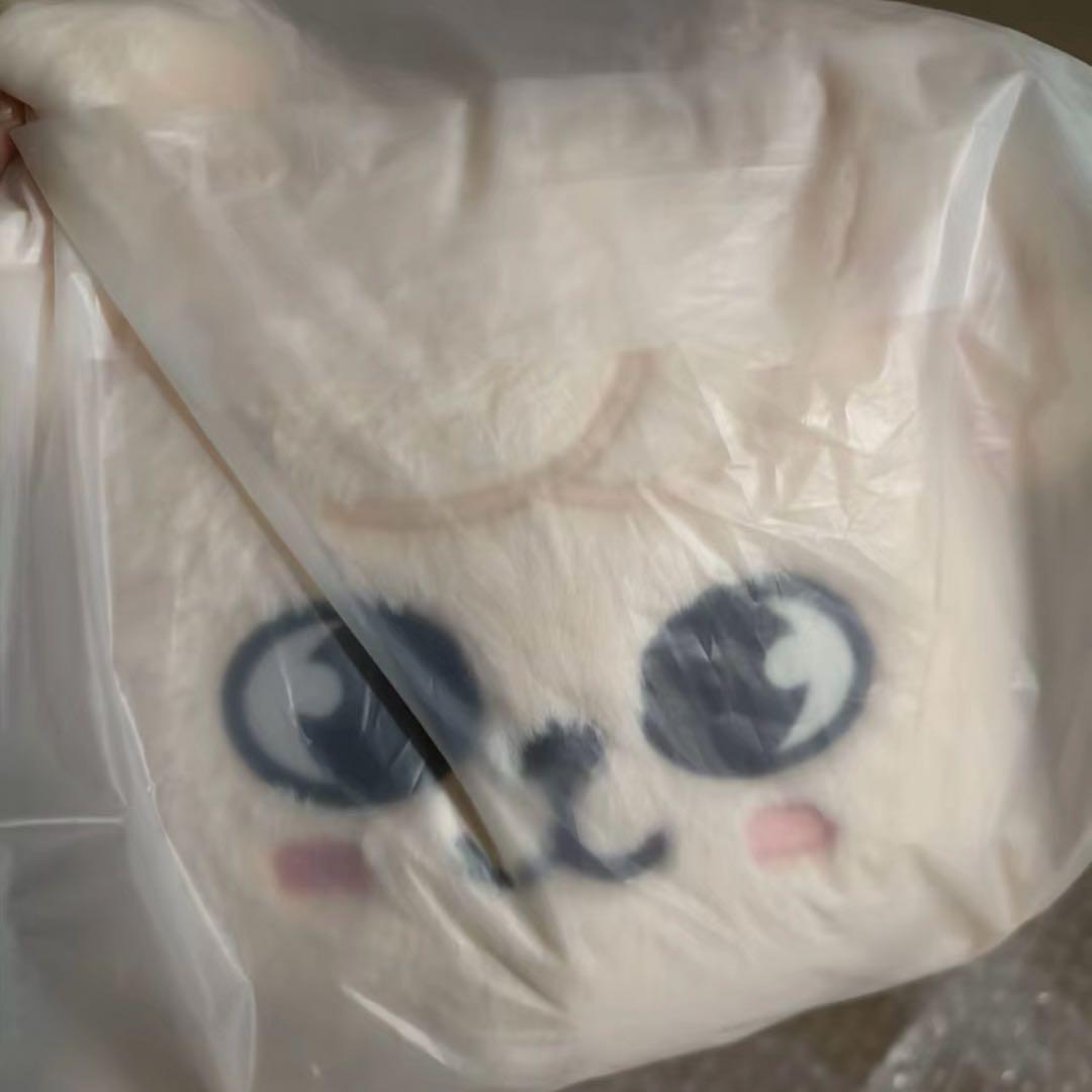 straykids スキズ　celebrate puppym スンミン　メンプロ