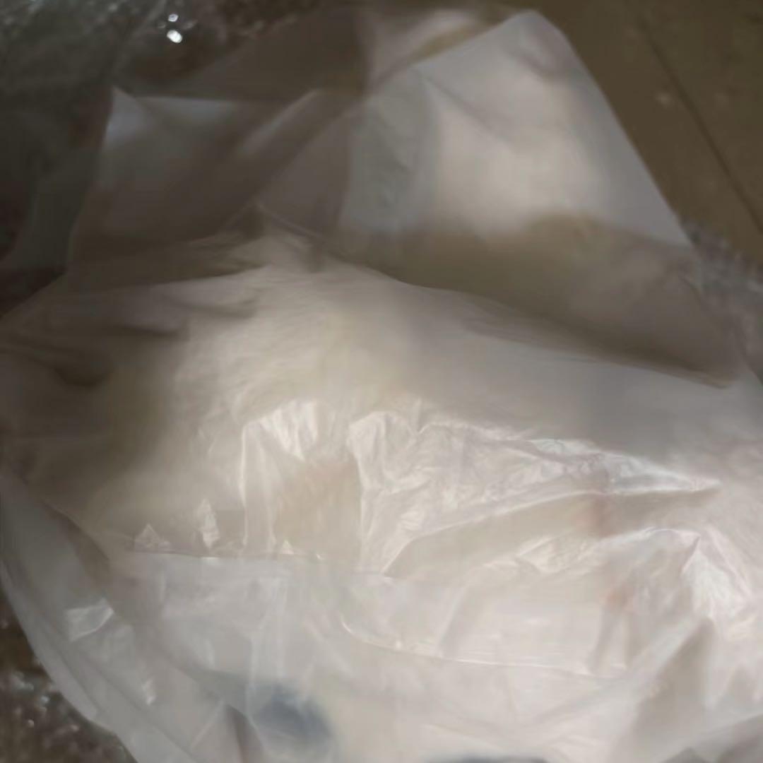 straykids スキズ　celebrate puppym スンミン　メンプロ