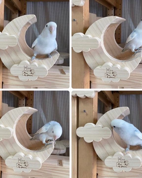 チンチラハウス  月 moon 小動物用 可愛い