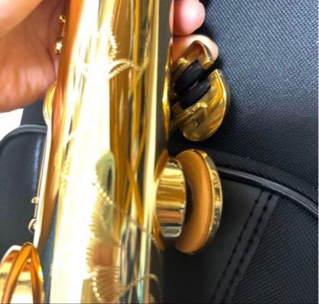 ソプラノサックス 本体 ソフトケース付き