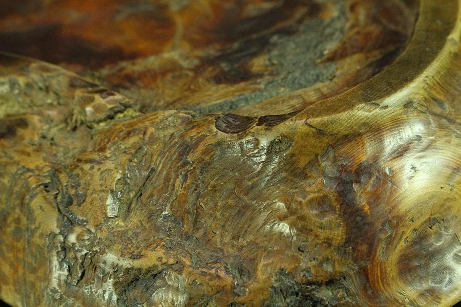 老松 古材 盆 煎茶 敷き盆(K-RC949)