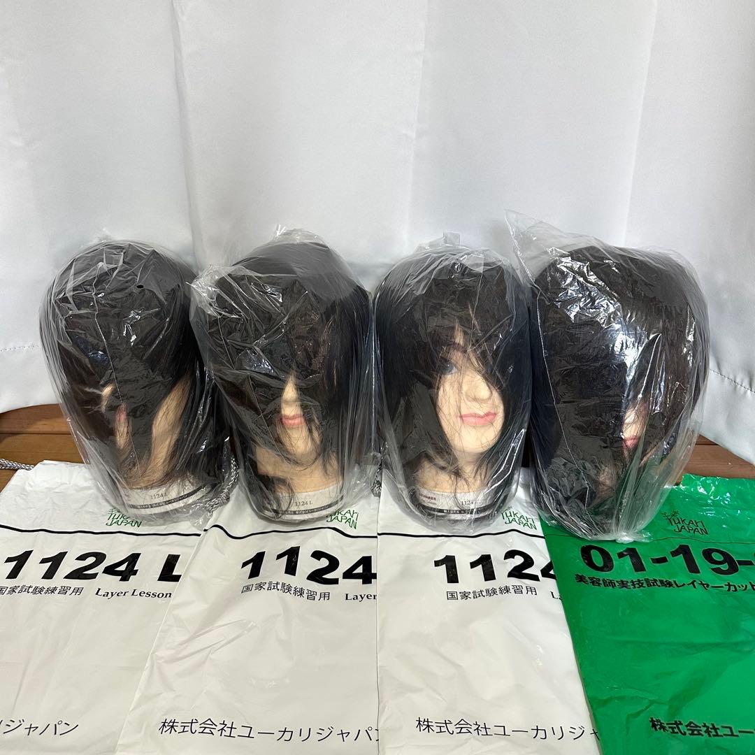 【国家試験】 練習用、本番用 カットウィッグ 4点セット 新品未使用