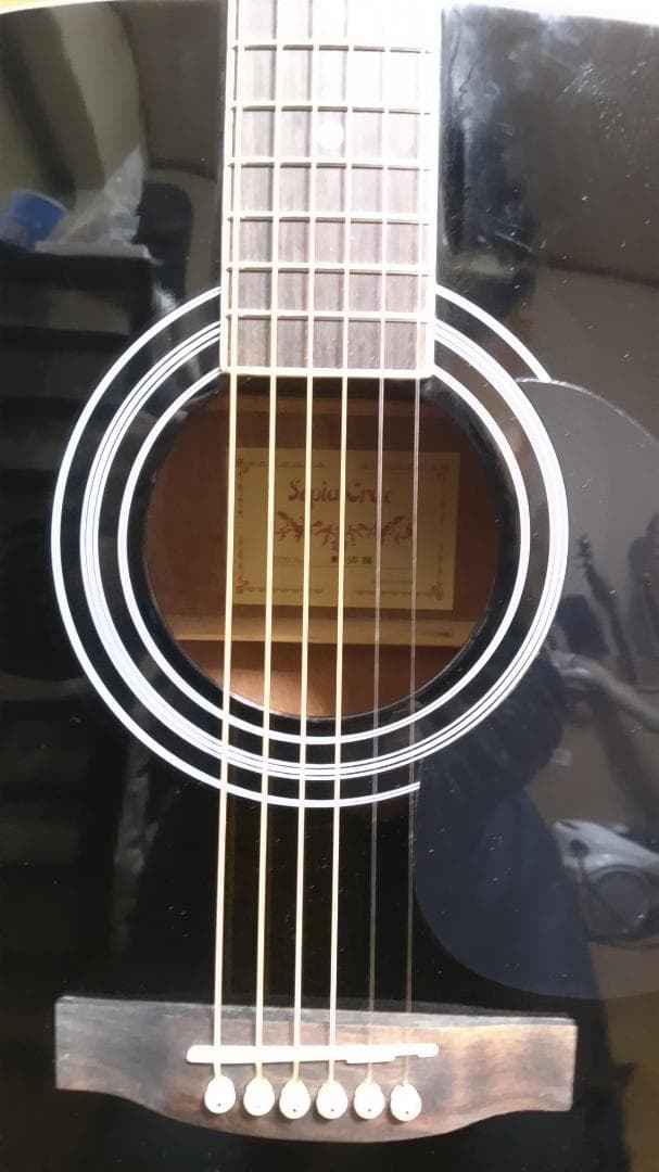 ❤️弦高調整済！「Sepia Crue セピアクルー WG-10 BK」＋ケース