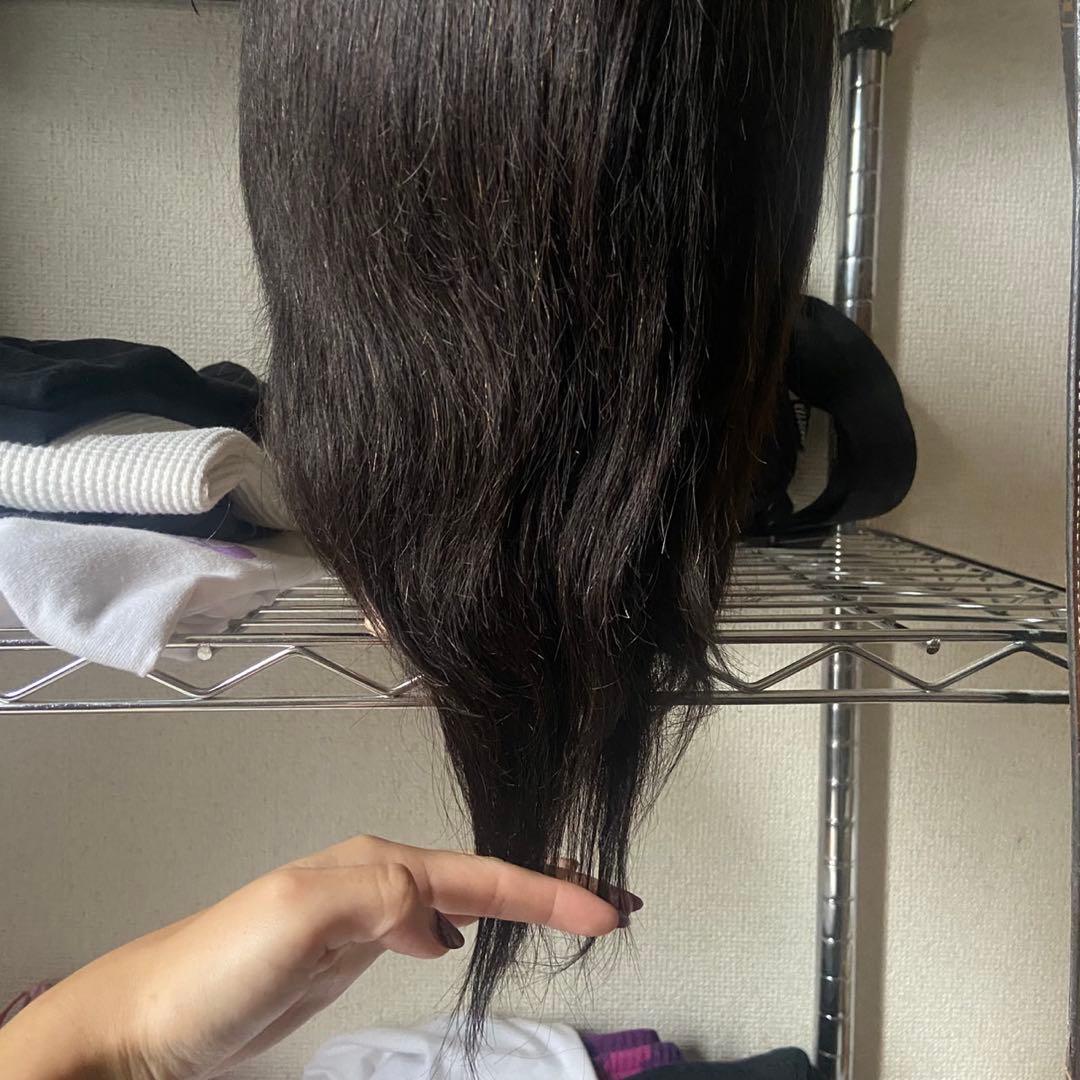 国家資格試験用カットウィッグ19体