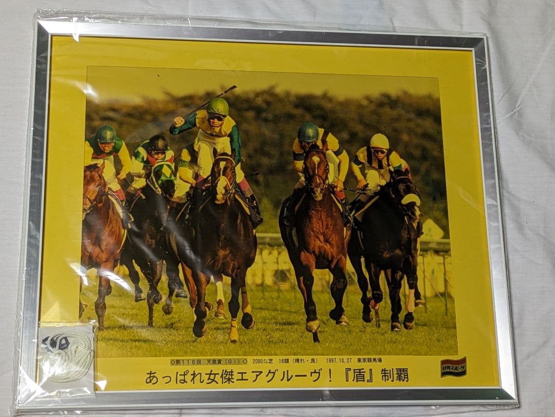 エアグルーヴ　武豊　天皇賞秋　競走馬　写真パネル　額縁入り　スポーツ新聞付き