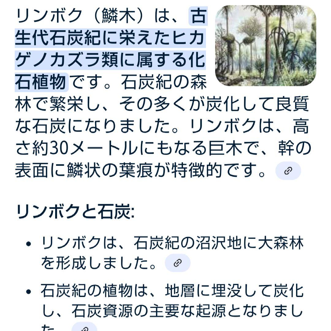 芸術作品として取得 無煙炭の最高級使用 底面周囲約56cm、高さ約26cm