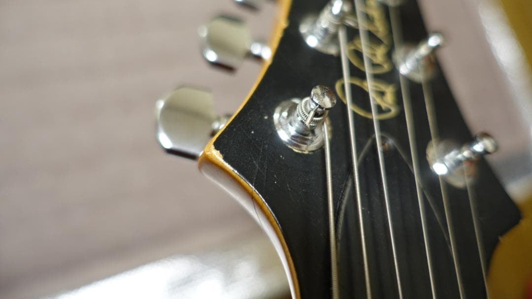 crowdさん専用 PRS CE22 Stop Tail