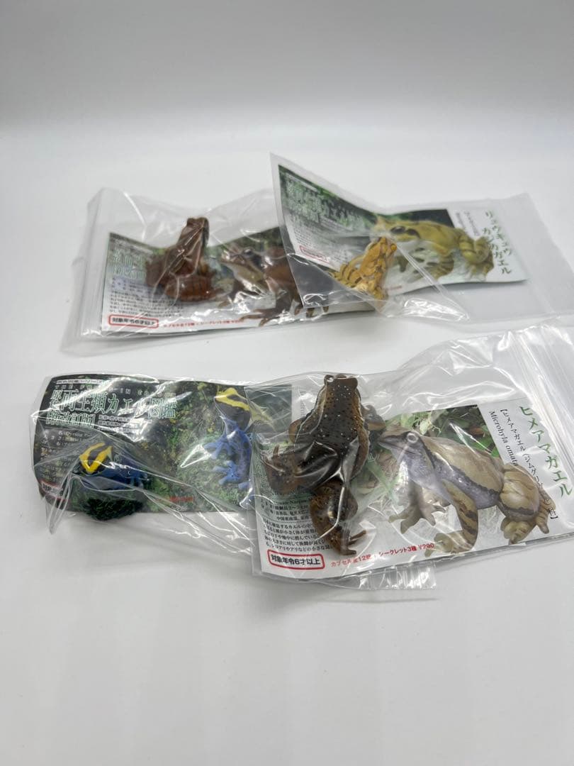 原色両生類カエル図鑑 [新改訂版]