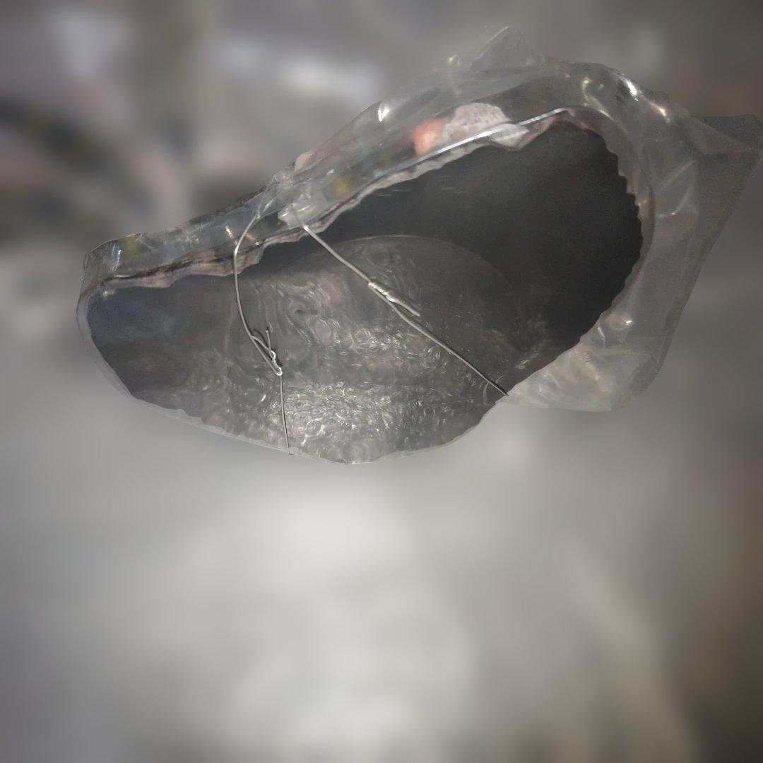 東宝大怪獣シリーズ　クモンガ　少年リック限定版　カマキラス台座付属　フィギュア