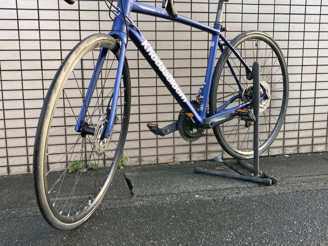 送料込 コーダーブルーム KhodaaBloom FARNA DISC 105