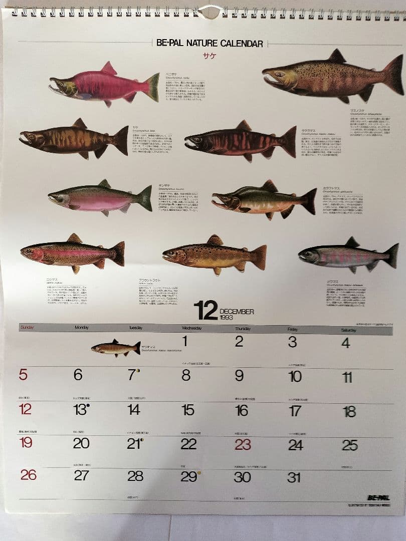 BE-PAL ビーパル カレンダー 新品未使用 1993年 ヴィンテージ