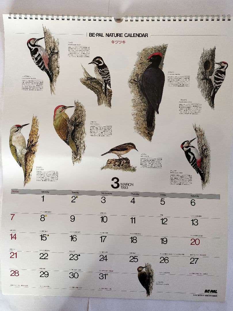 BE-PAL ビーパル カレンダー 新品未使用 1993年 ヴィンテージ