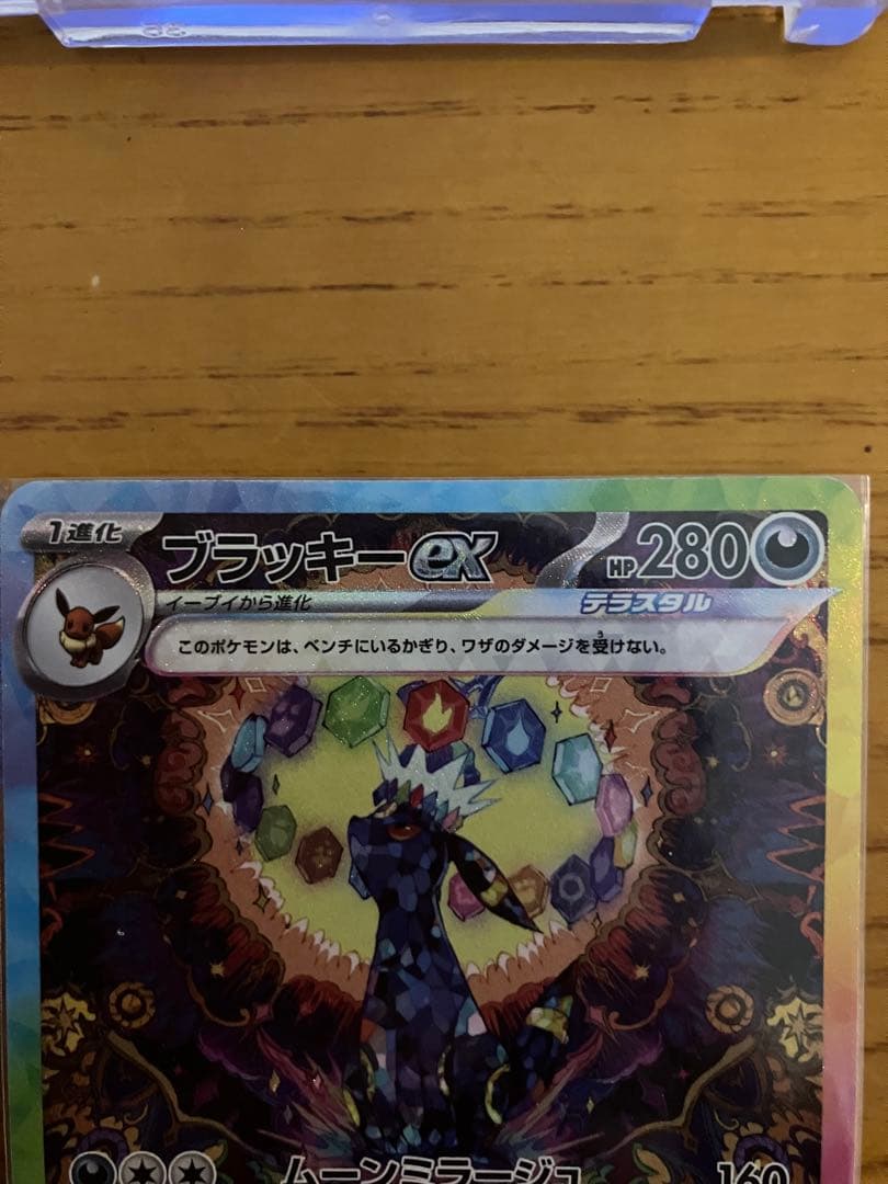 【美品】テラスタルフェス　ブイズsarバラ売り可