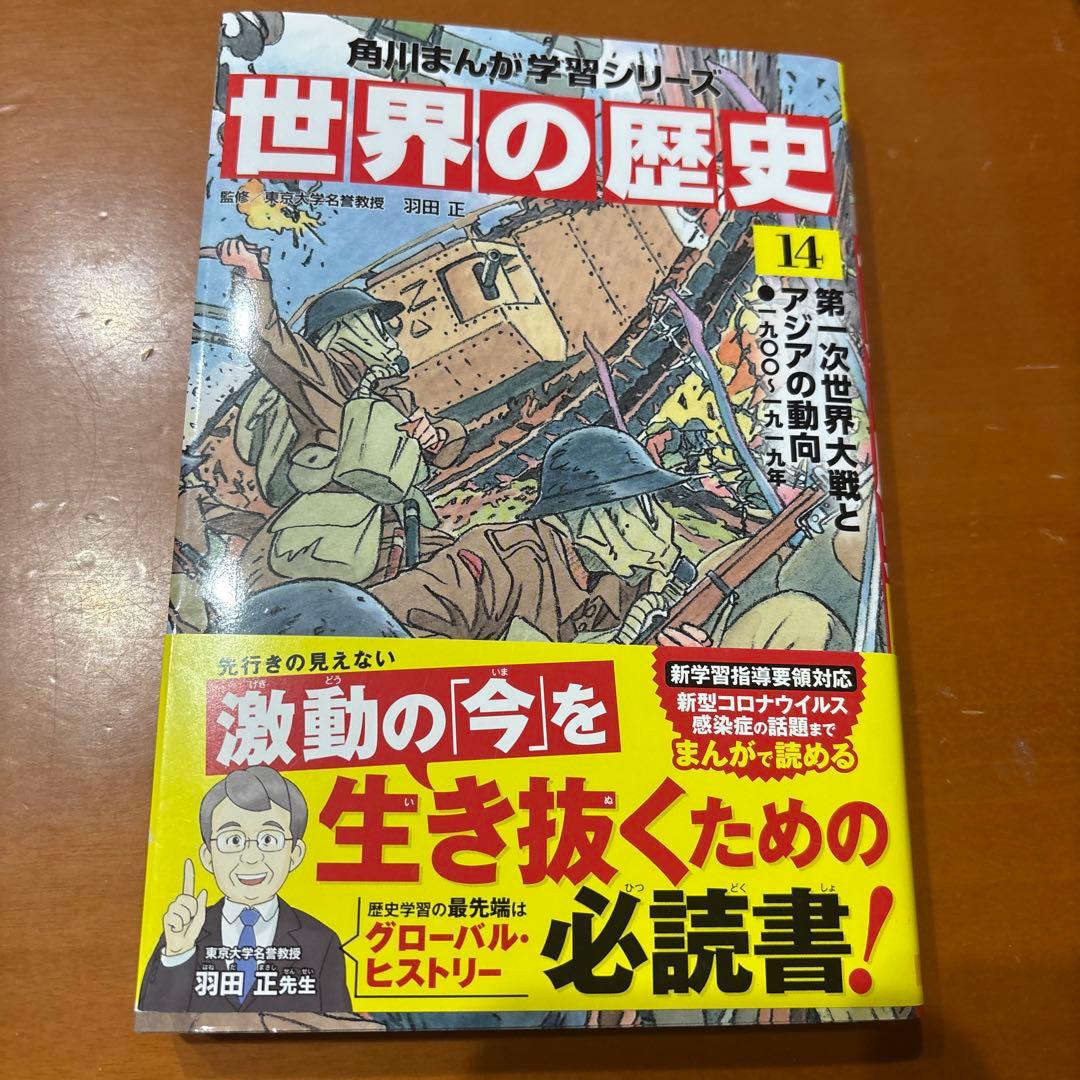 世界の歴史 20冊　まとめ売り